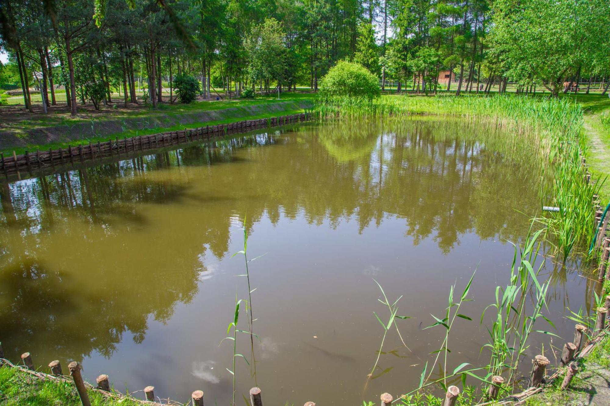 Agroturystyka Olszynka Skopanie Buitenkant foto